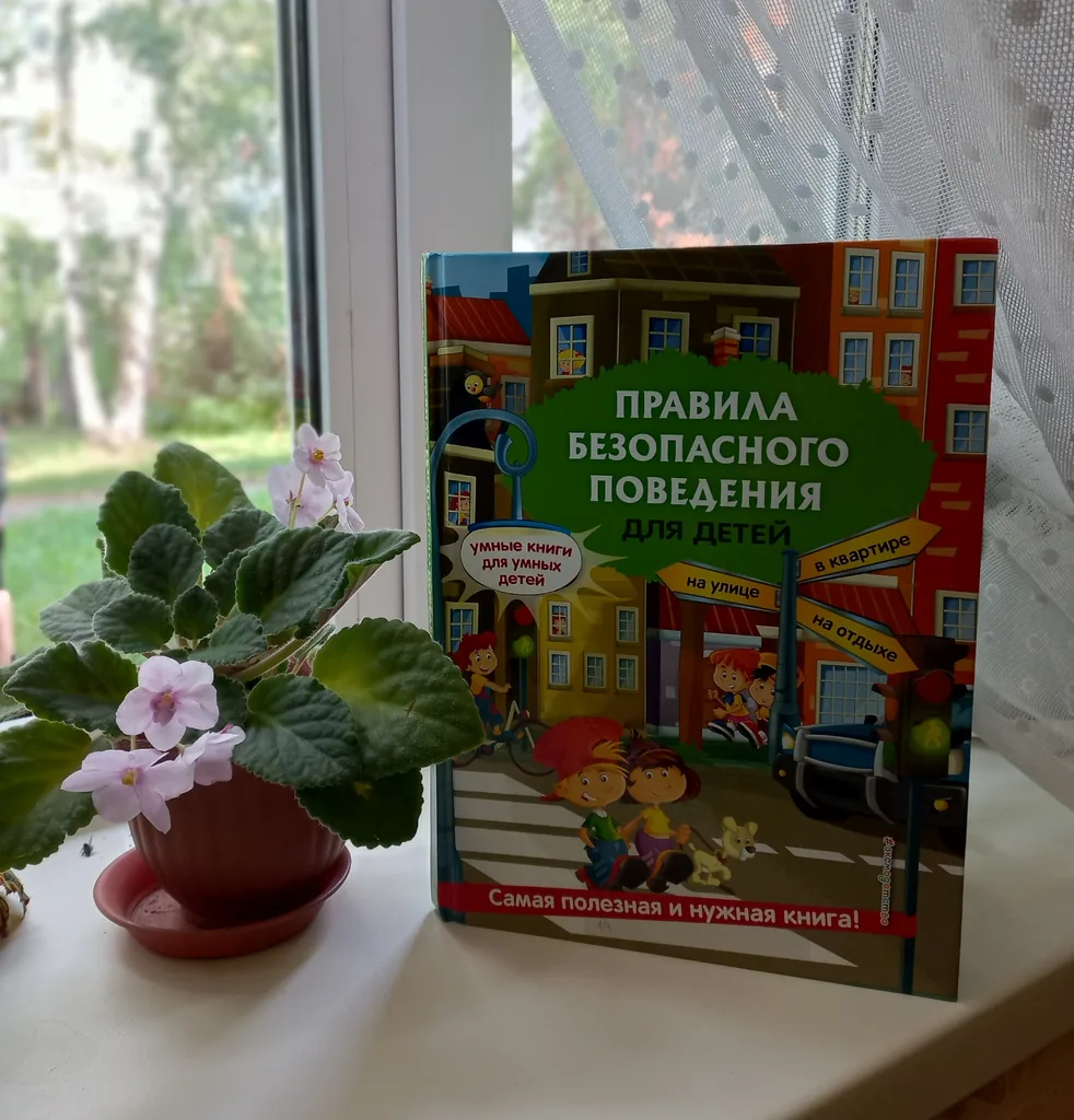 Игра-викторина «Правила безопасного поведения»