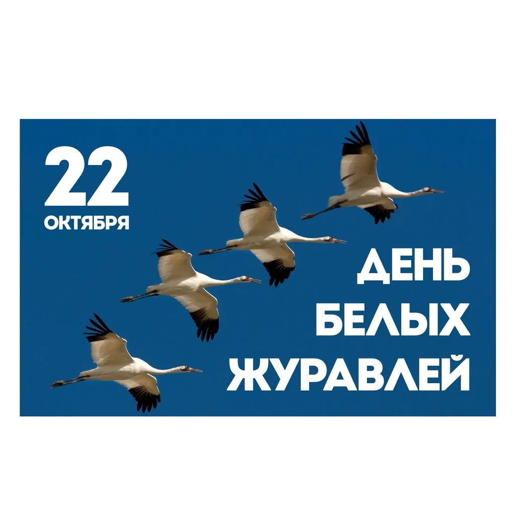 Беседа «День белых журавлей»