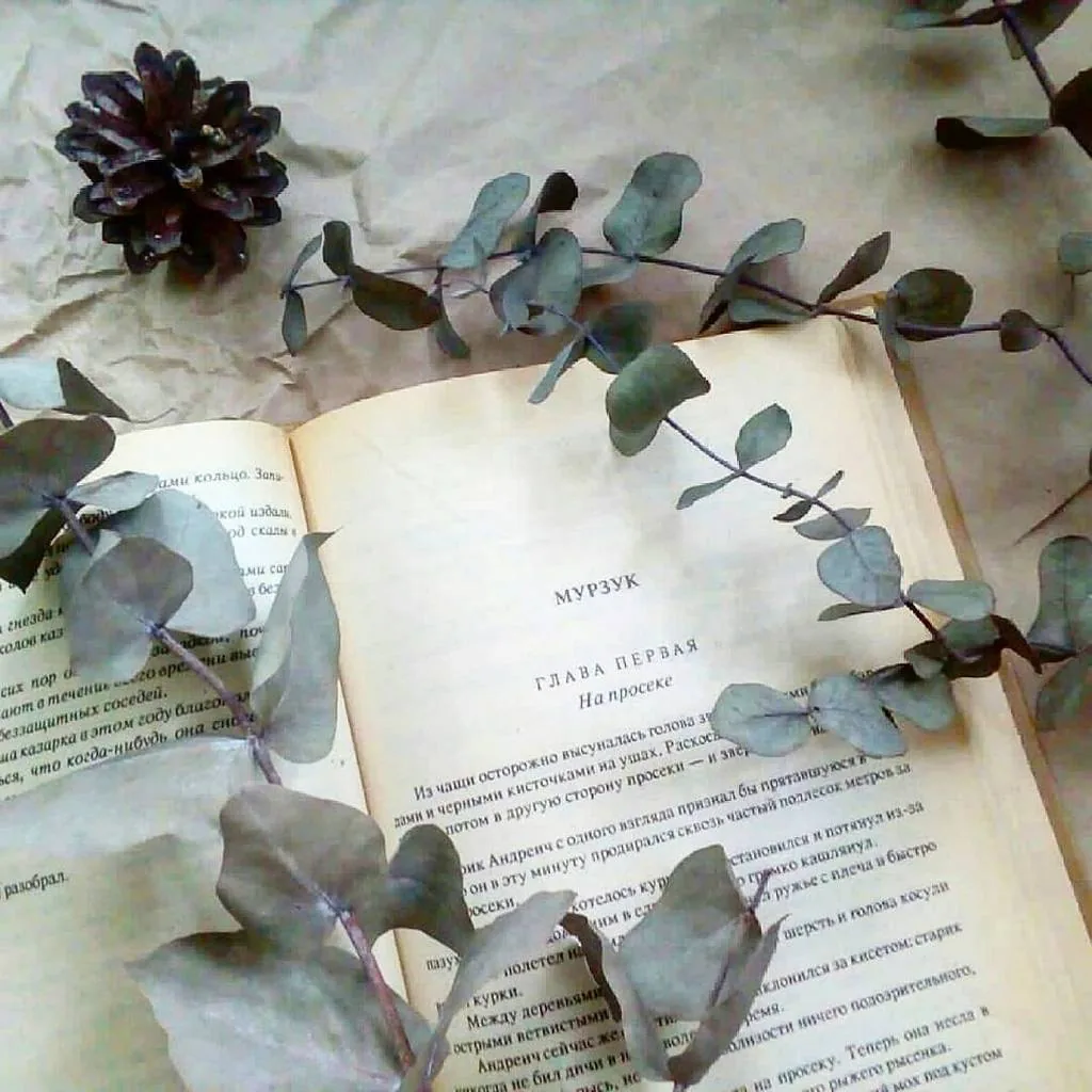 Библиотекарь рекомендует. Виталий Бианки «Мурзук»