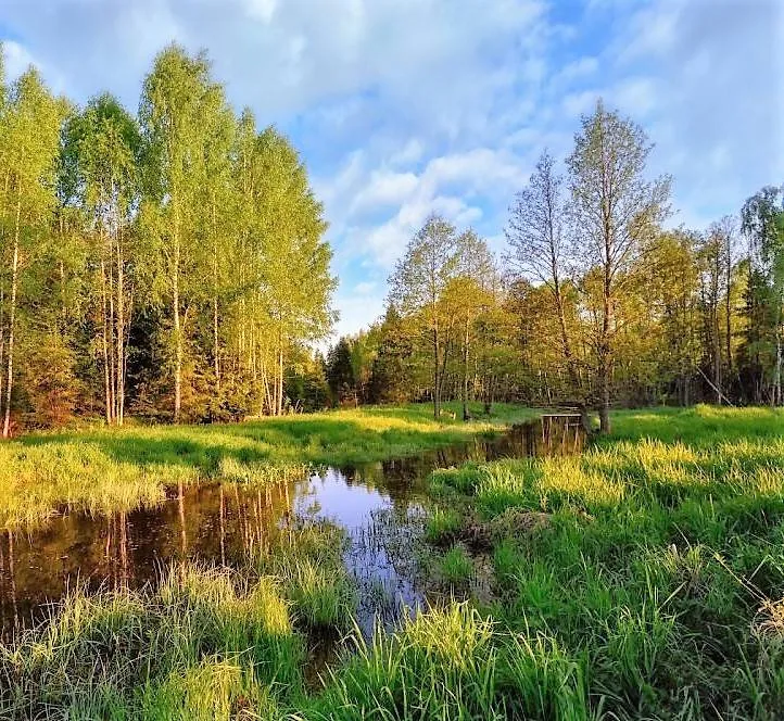 Онлайн-викторина «Лесная палитра»