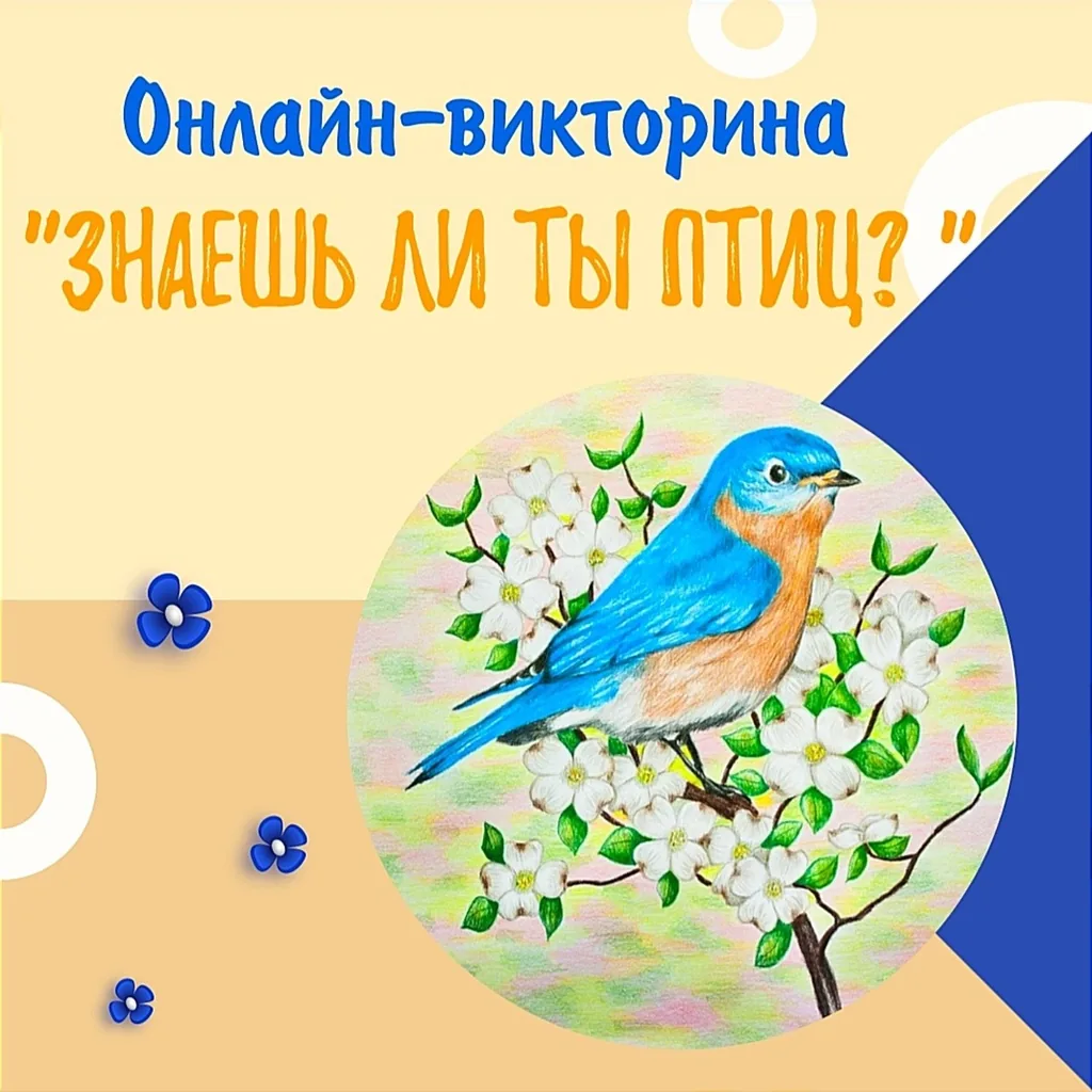 Онлайн-викторина «Знаешь ли ты птиц?»
