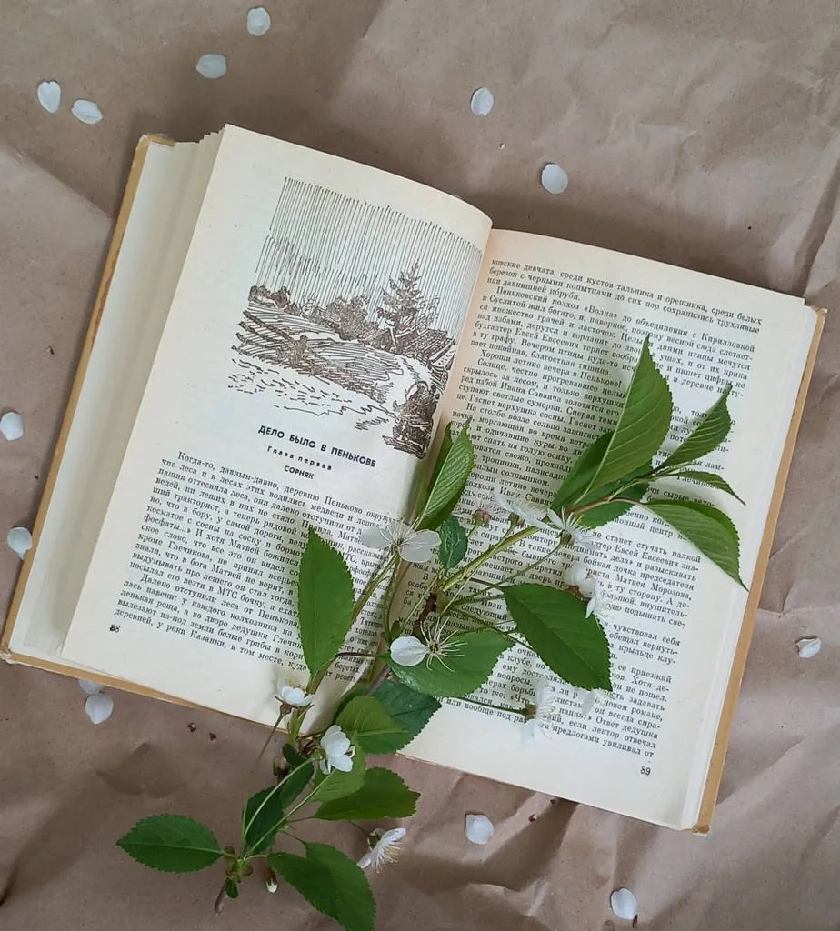 Библиотекарь рекомендует. С.П.Антонов "Дело было в Пенькове"