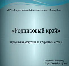 Виртуальная экскурсия «Родниковый край»