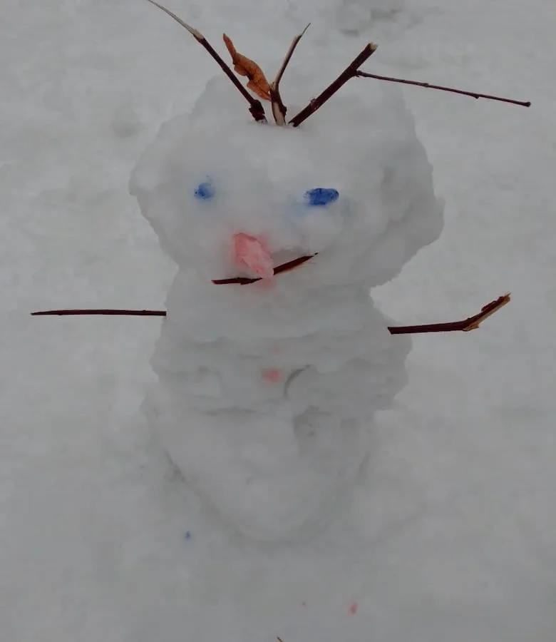 Снеговик собирает друзей