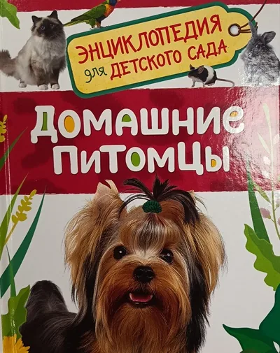 Беседа- игра «Домашние питомцы»