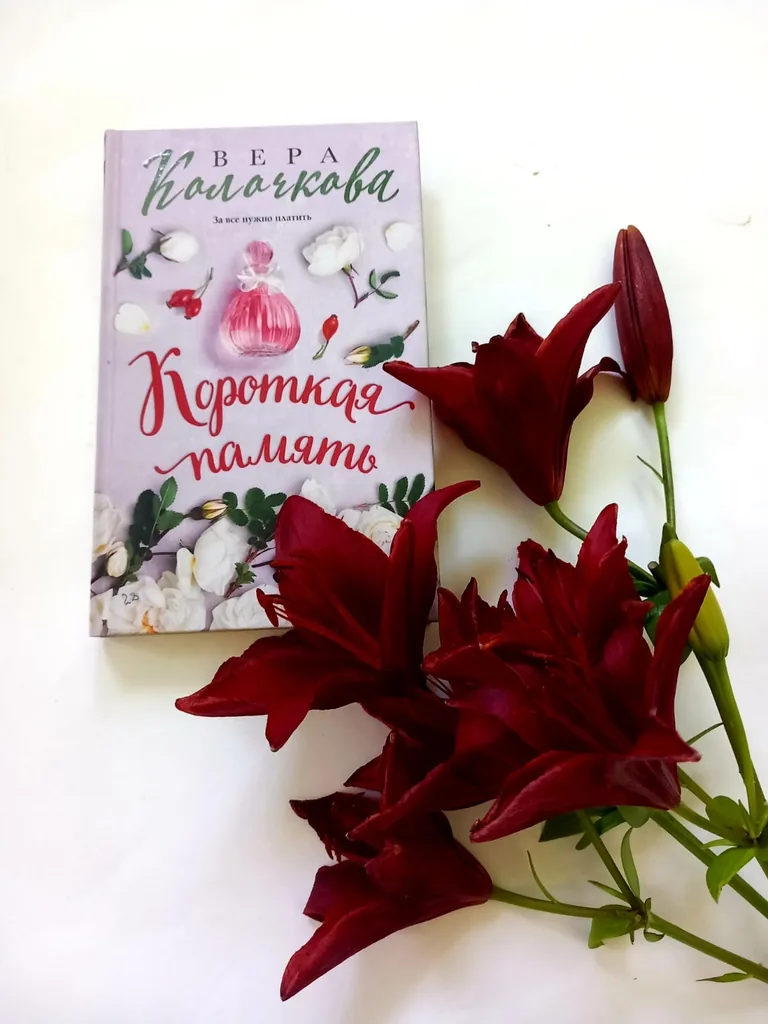 Библиотекарь рекомендует Вера Колочкова «Короткая память»