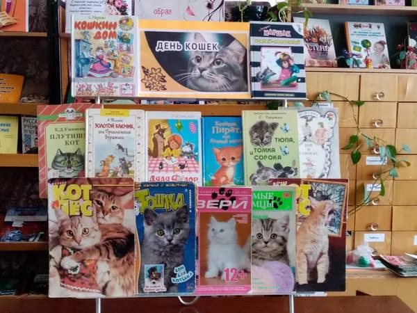 Наши меньшие друзья - кошки (День кошек России)