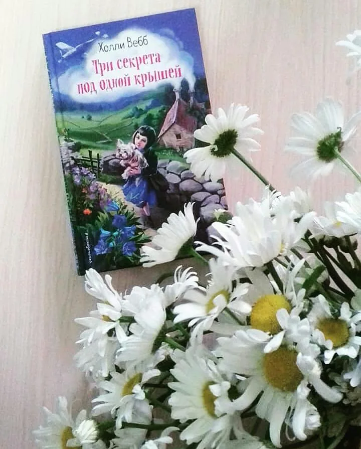 Библиотекарь рекомендует Холли Вебб «Три секрета под одной крышей»