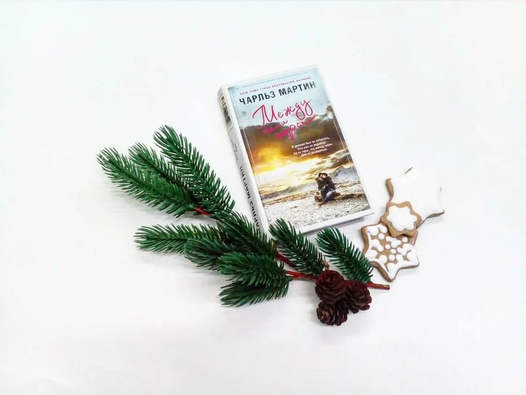 Библиотекарь рекомендует. Чарльз Мартин «Между нами горы»