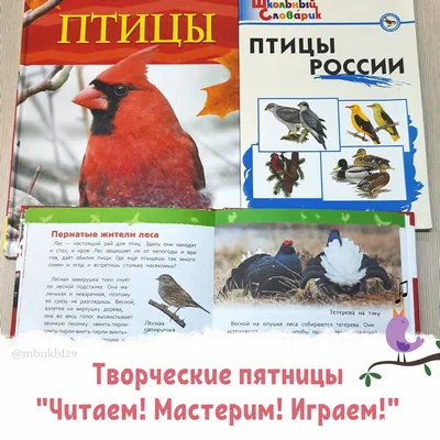 Ринг эрудитов «Загадки мудрого Филина»