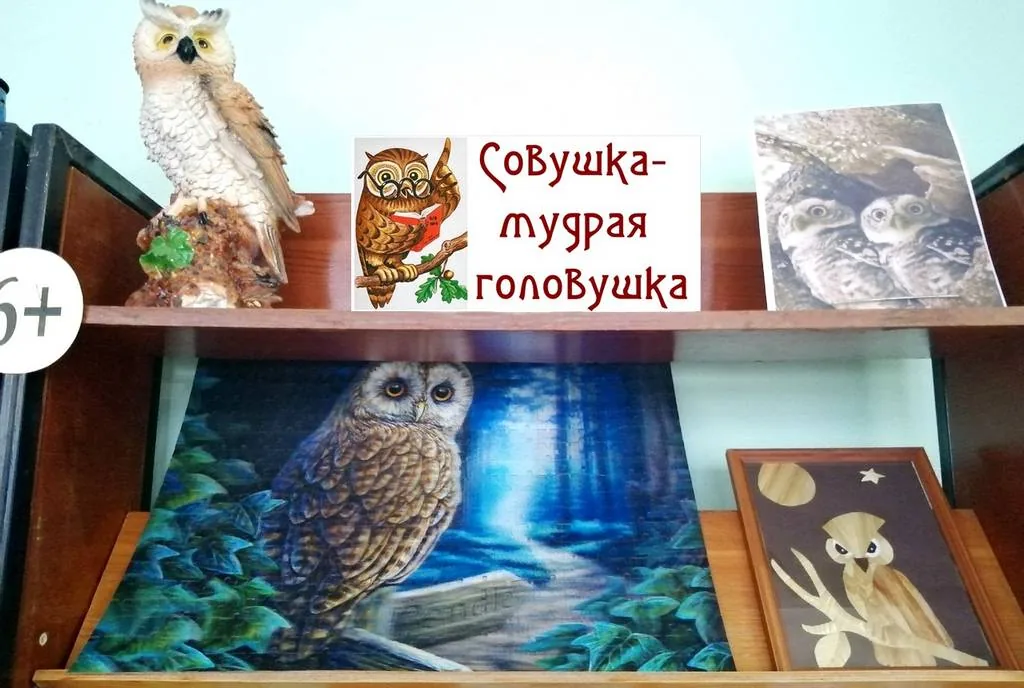 Выставка сов «Совушка-мудрая головушка»