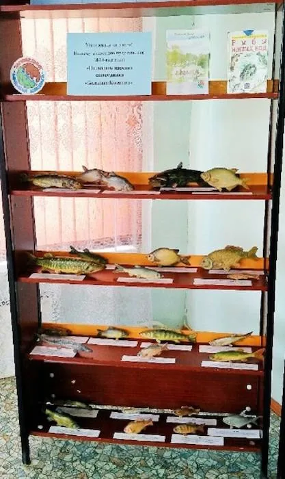 Подводное царство заповедника «Большая Кокшага»