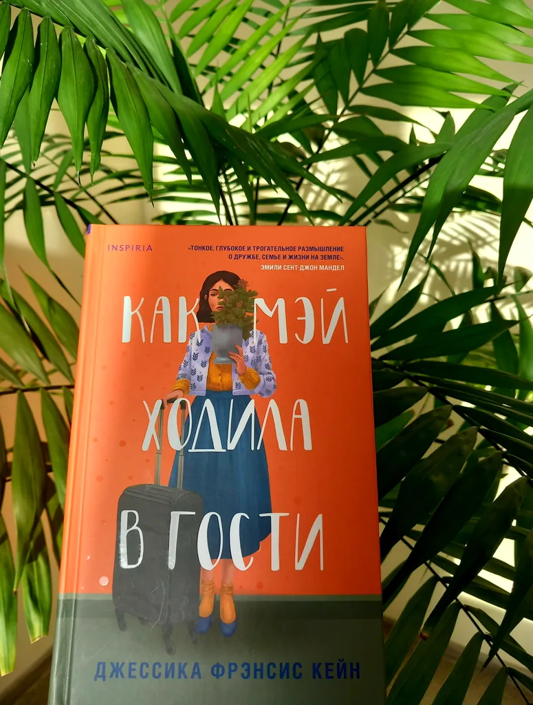 Библиотекарь рекомендует. Джессика Фрэнсис Кейн «Как Мэй ходила в гости»