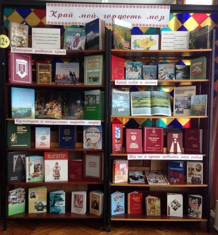 Книжная  выставка:  « Край мой-гордость моя»