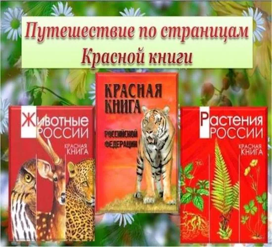 Презентация "Путешествие по страницам Красной книги"