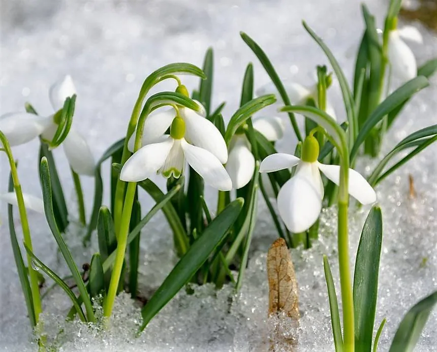 Информационно-тематический стенд «Весна! Весна!»