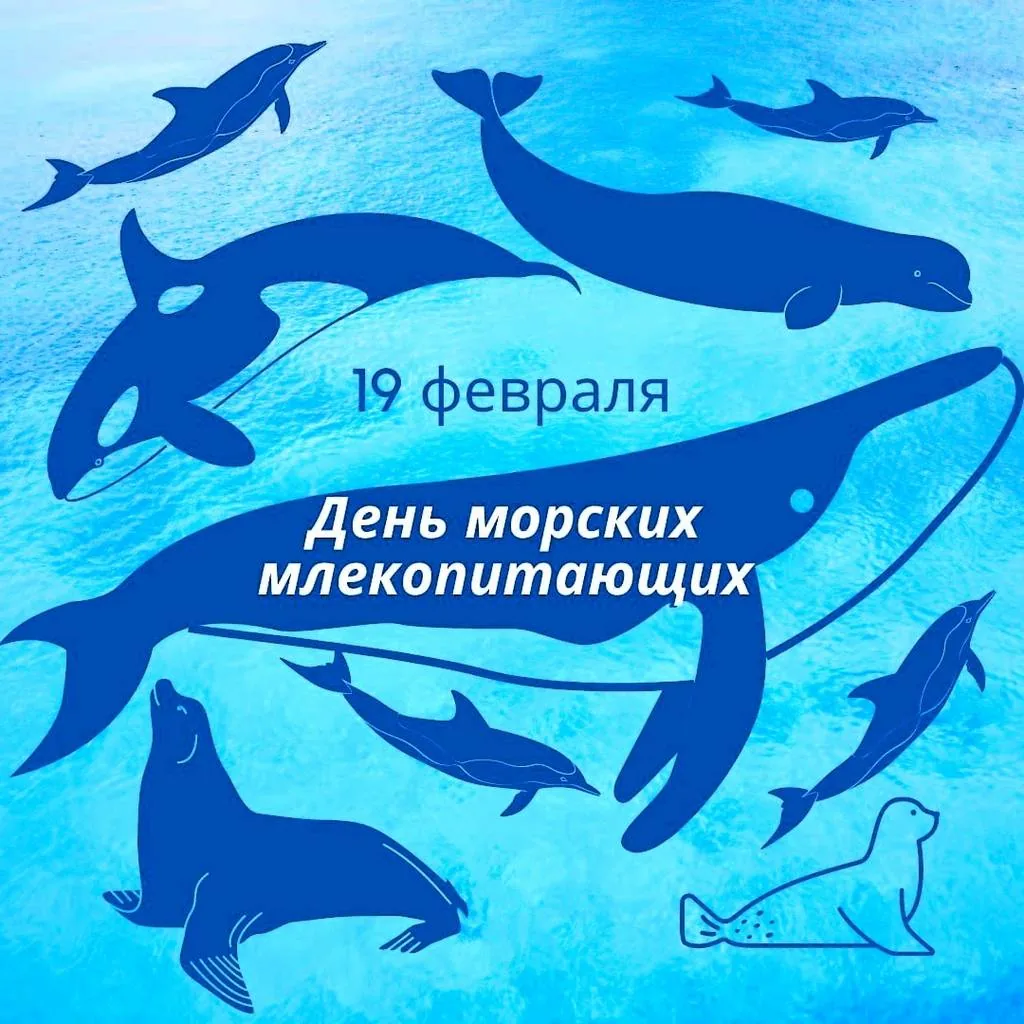 Онлайн-викторина «В мире китов и дельфинов»