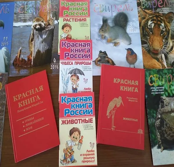 «Сбереги земли очарованье!»