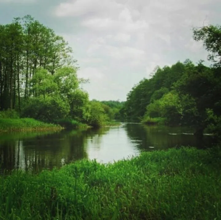 Когда началась война ...