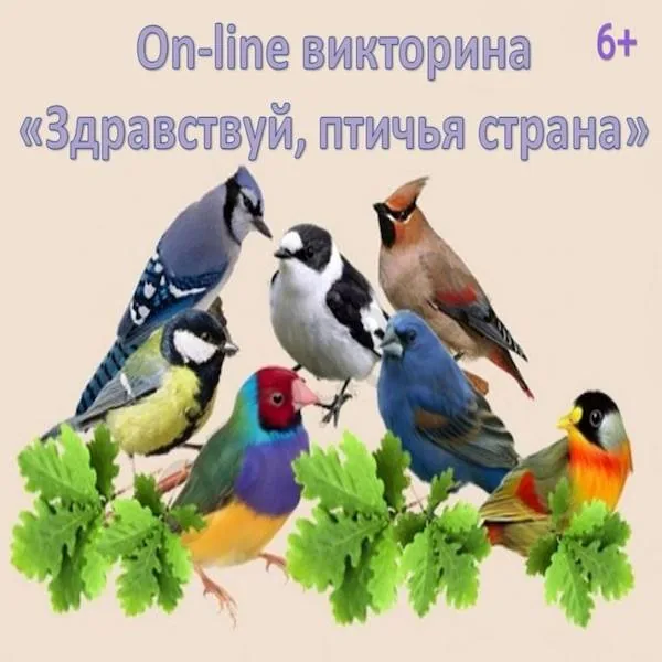 Онлайн-викторина «Здравствуй, птичья страна»