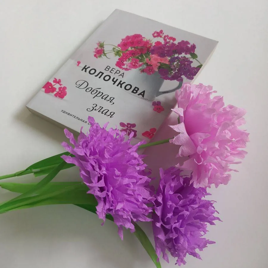 Библиотекарь рекомендует. Вера Колочкова «Добрая, злая»