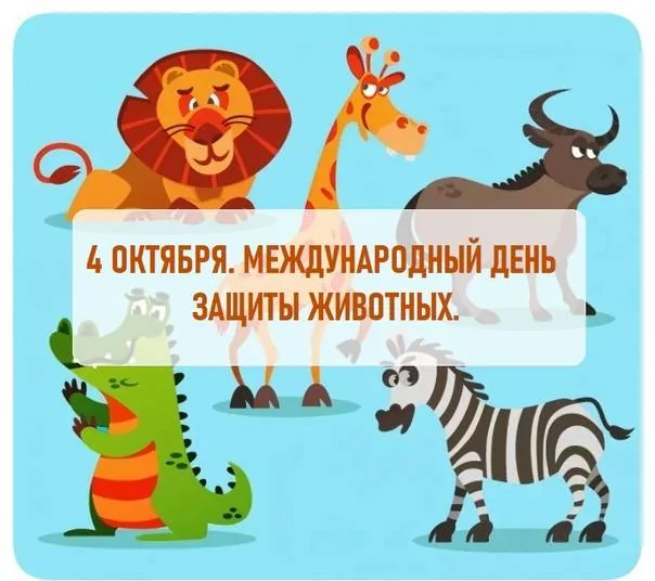 Дикие, домашние – все такие важные