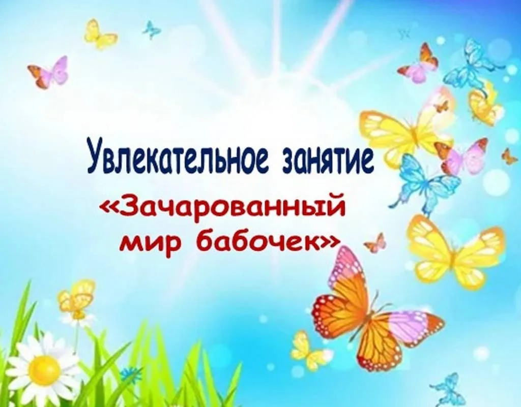 Увлекательное занятие «Зачарованный мир бабочек»