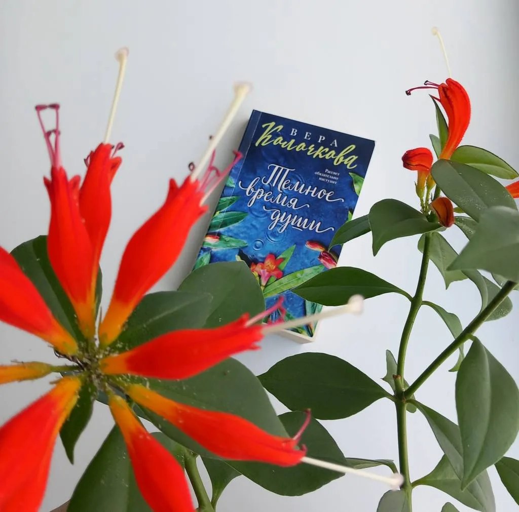 Библиотекарь рекомендует. Вера Колочкова «Темное время души»