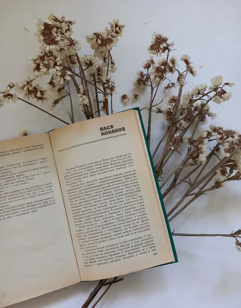 Год лейтенантской прозы. Виктор Некрасов «Вася Конаков».