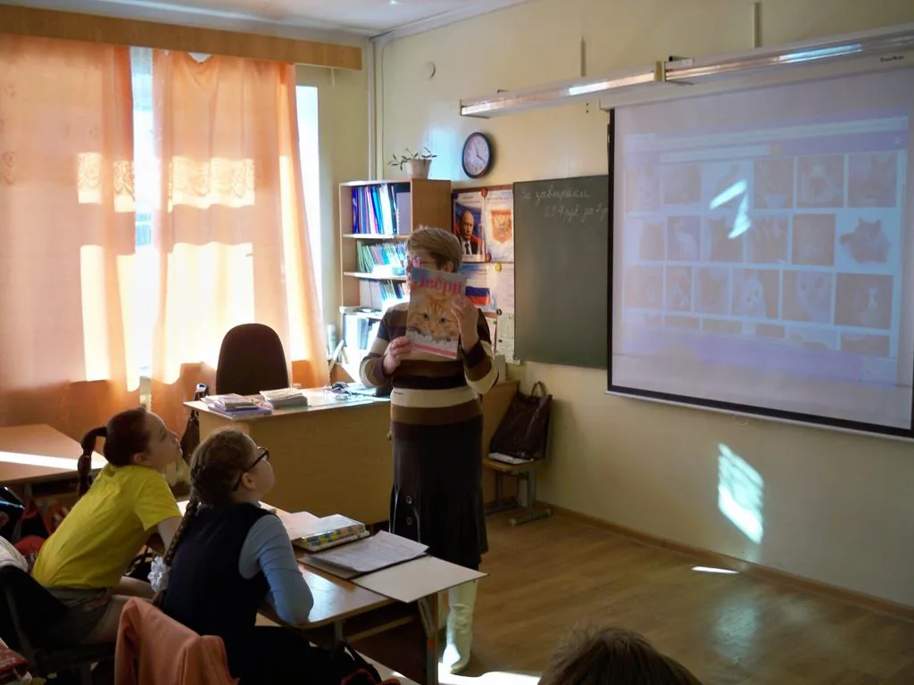 Экологический час о кошках