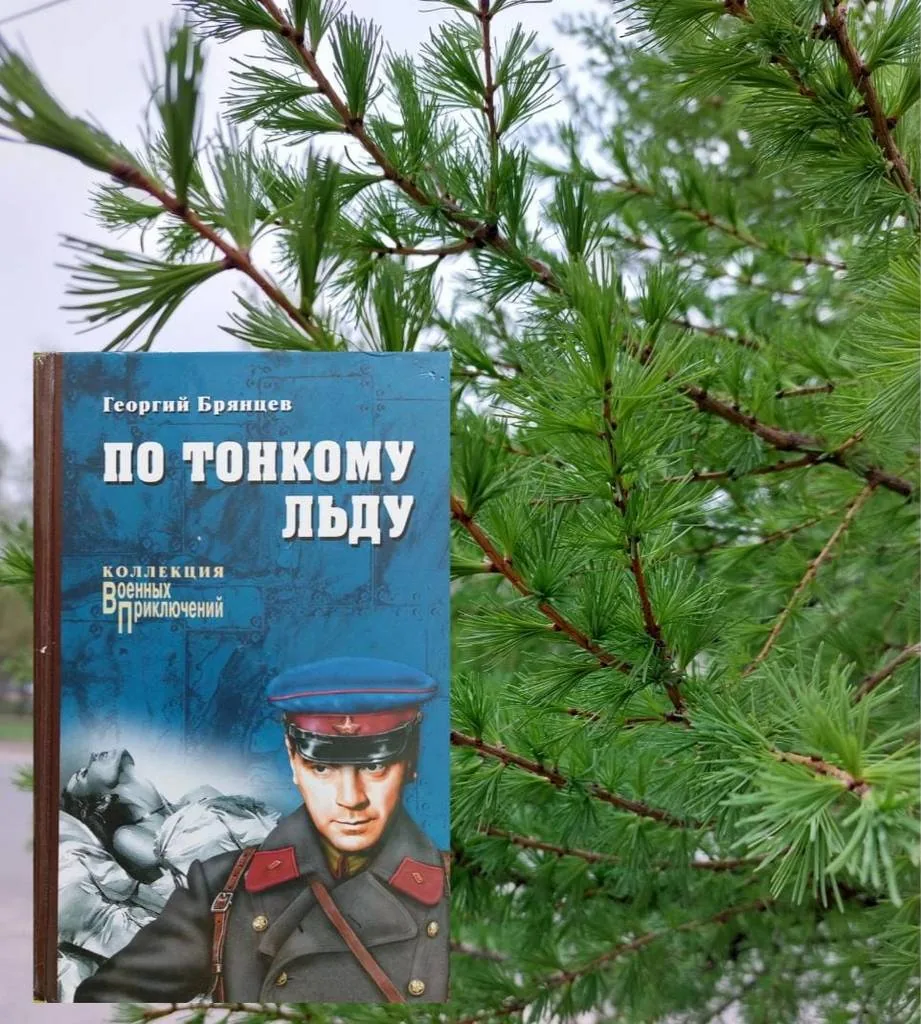 Библиотекарь рекомендует. Георгий Брянцев «По тонкому льду»