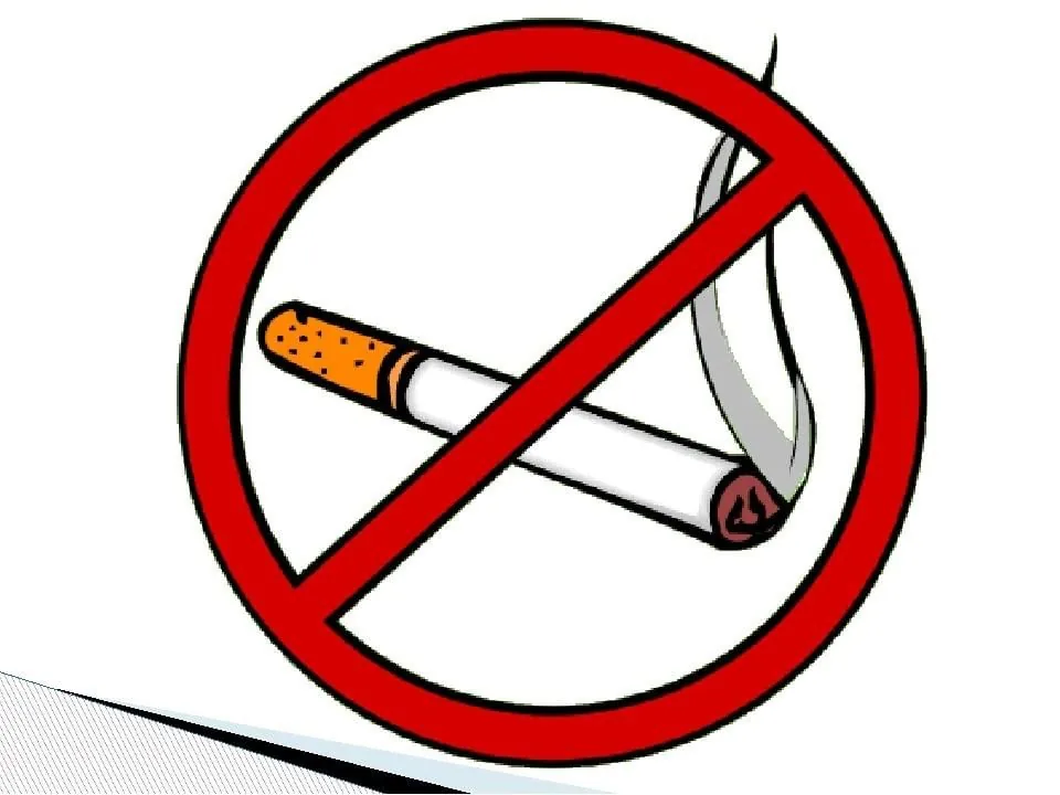 Урок - беседа «Есть повод подумать»