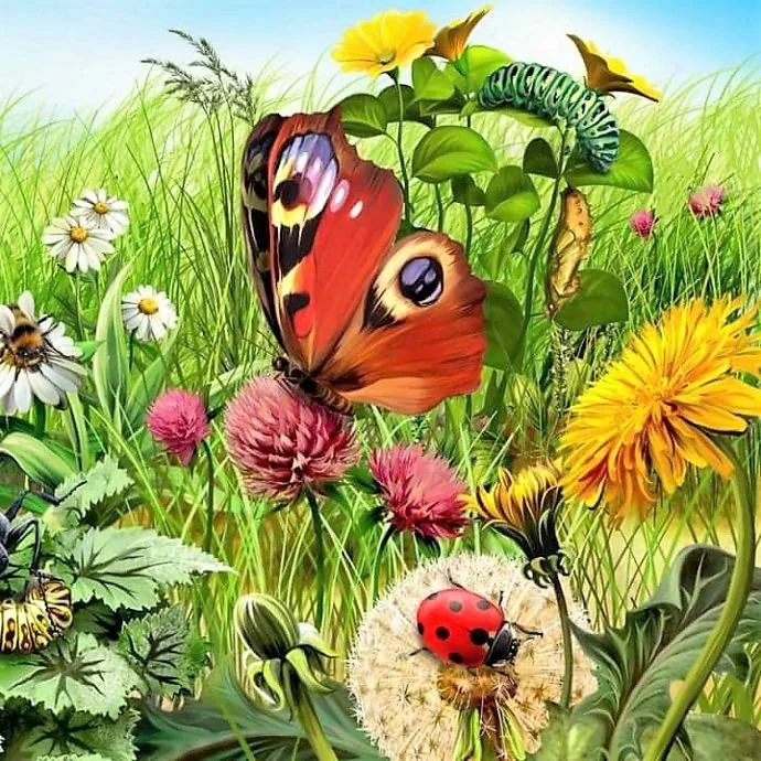 Информационно-тематический стенд «Краски лета»