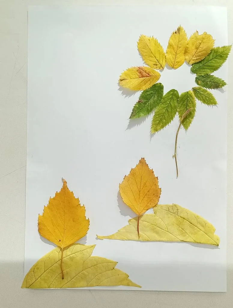 Мастер-класс «Осенняя открытка» ко Дню Учителя