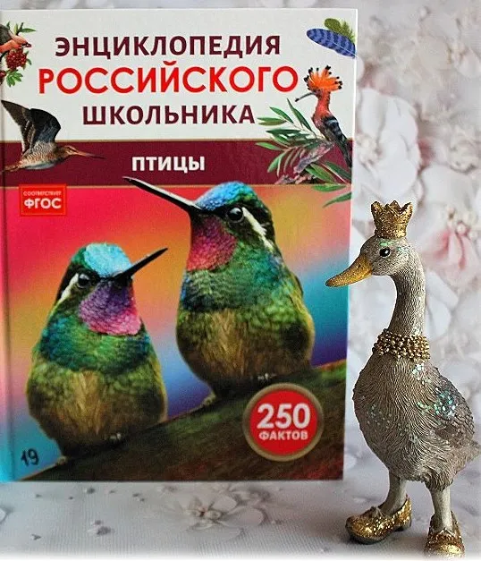 Онлайн-викторина «Ритмы птичьих стай»