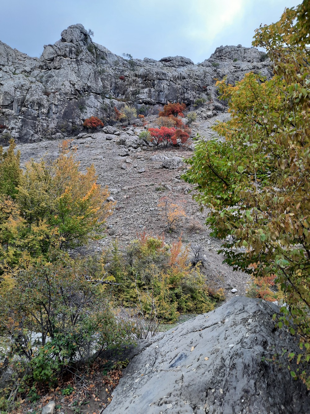 Зеленогорье