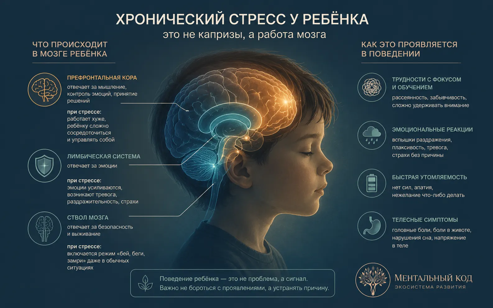 хронический стресс у ребёнка — кортизол и нейробиология воспитания страхом