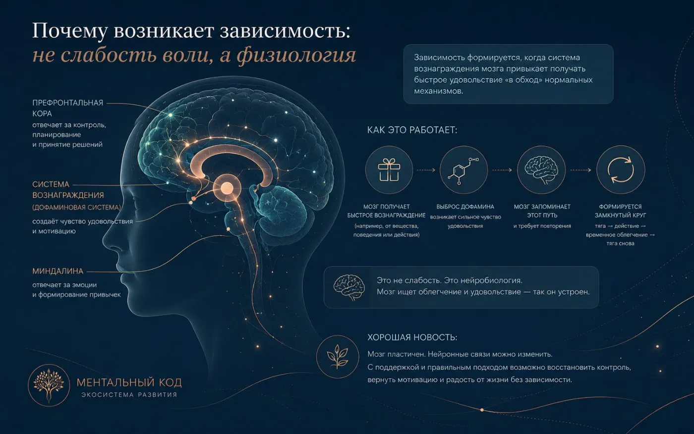 Почему возникает зависимость: дофаминовая система мозга