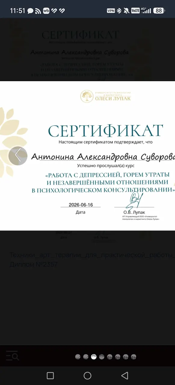 Антонина Суворова — Portfolio 5
