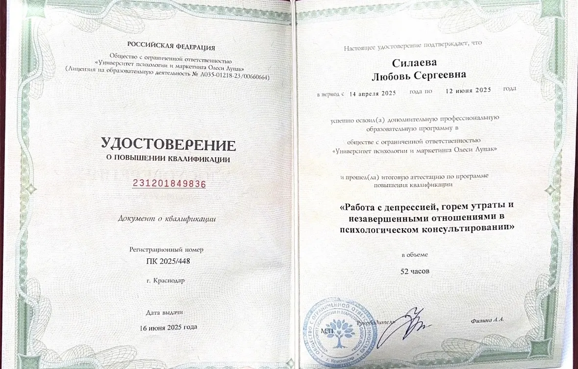 Любовь Силаева — Portfolio 1