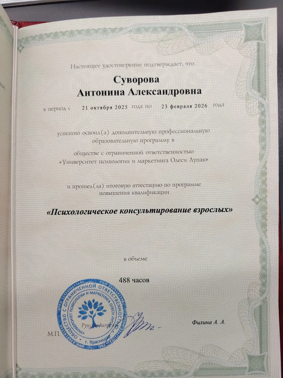 Антонина Суворова — Portfolio 2