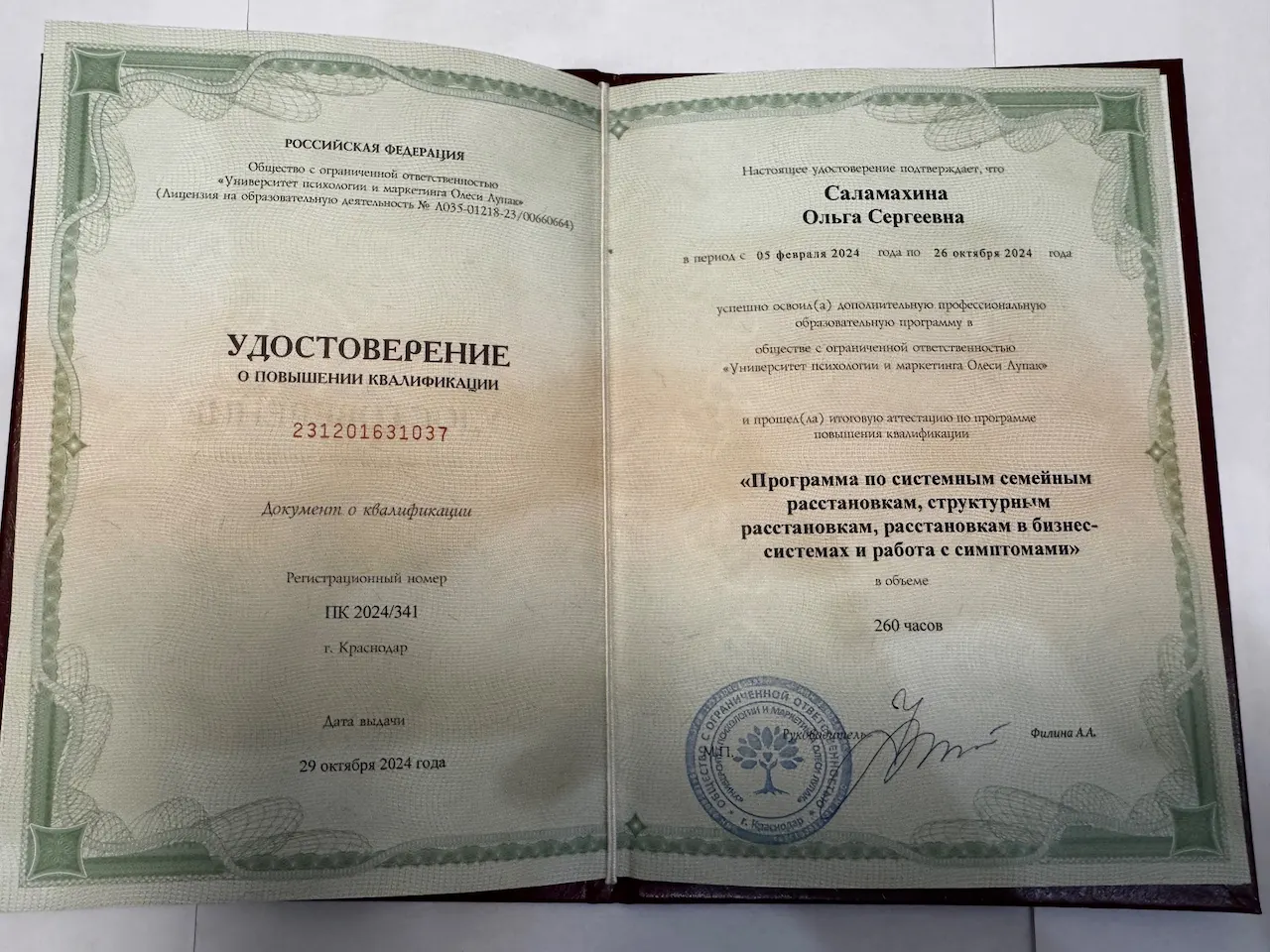 Саламахина Ольга — Portfolio 8