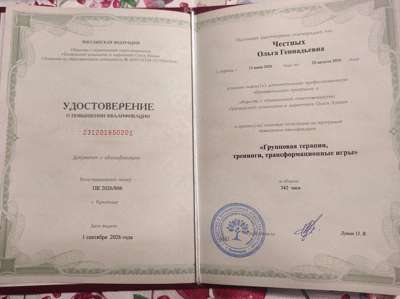 Ольга Честных — Портфолио 3