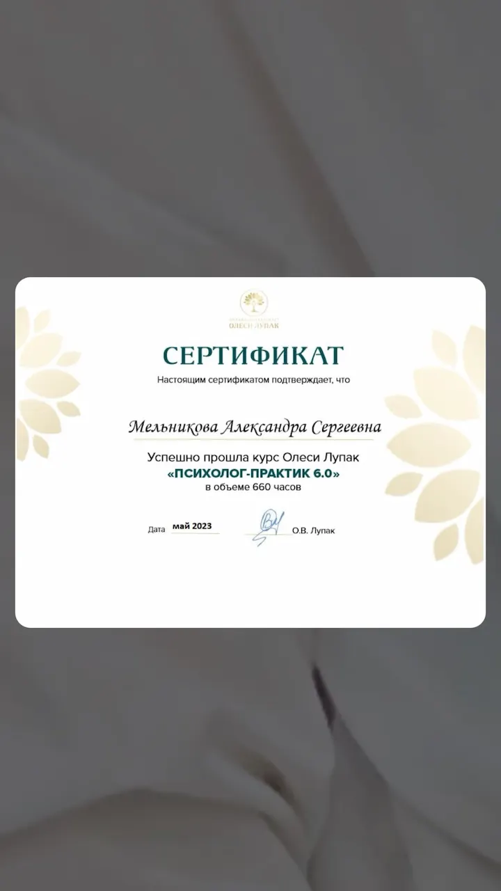 Александра Мельникова — Портфолио 1