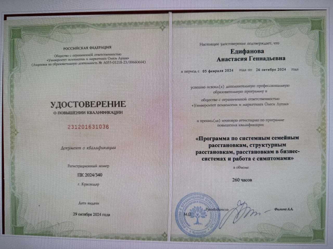Анастасия Едифанова — Портфолио 3