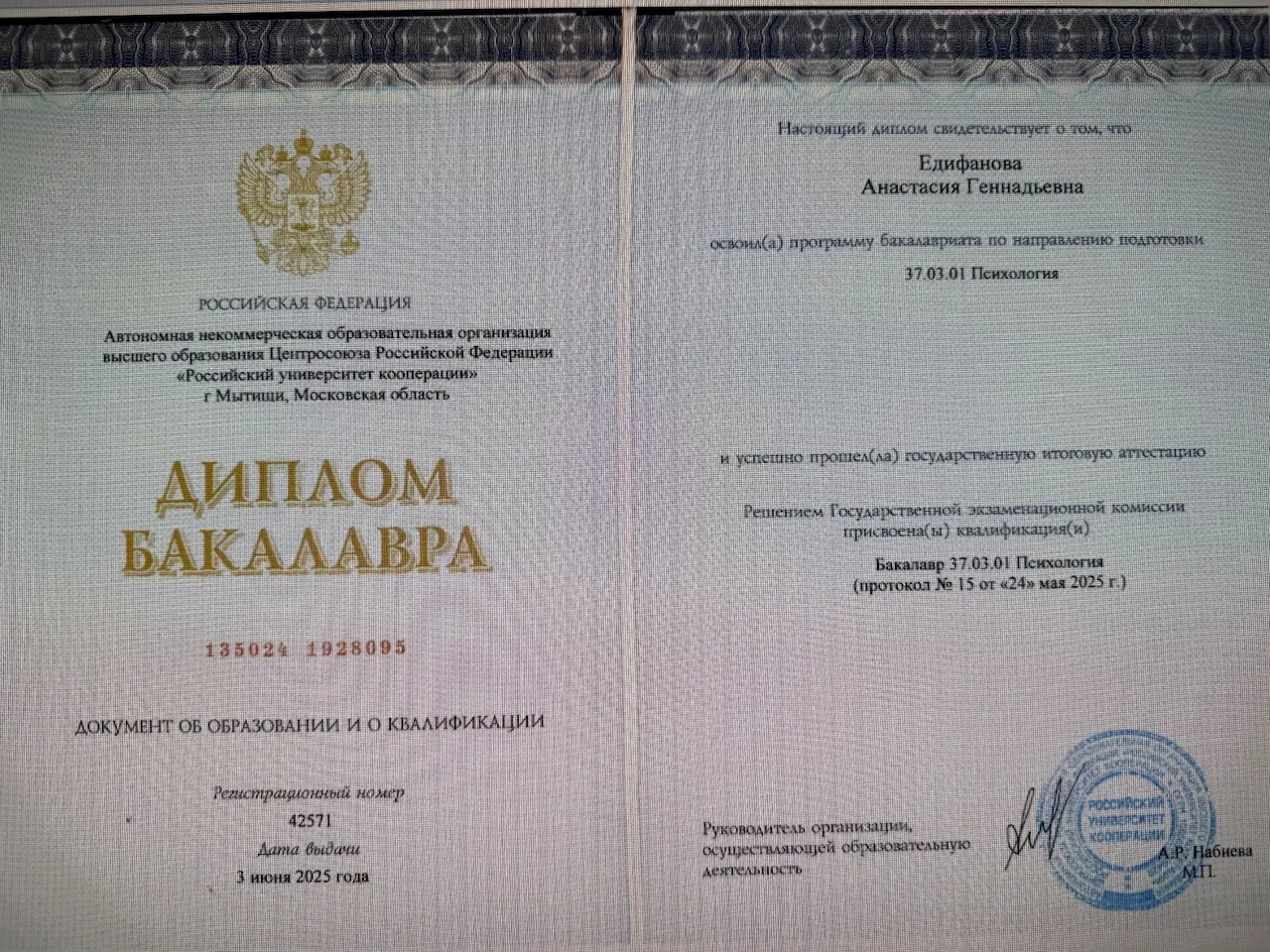 Анастасия Едифанова — Портфолио 1