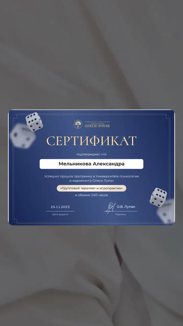 Александра Мельникова — Портфолио 2