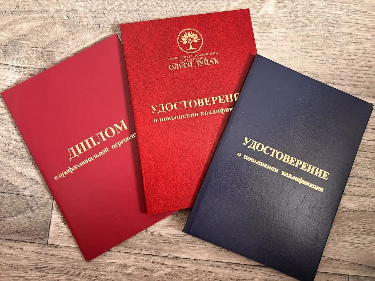 Надежда Тихоньких — Portfolio 1