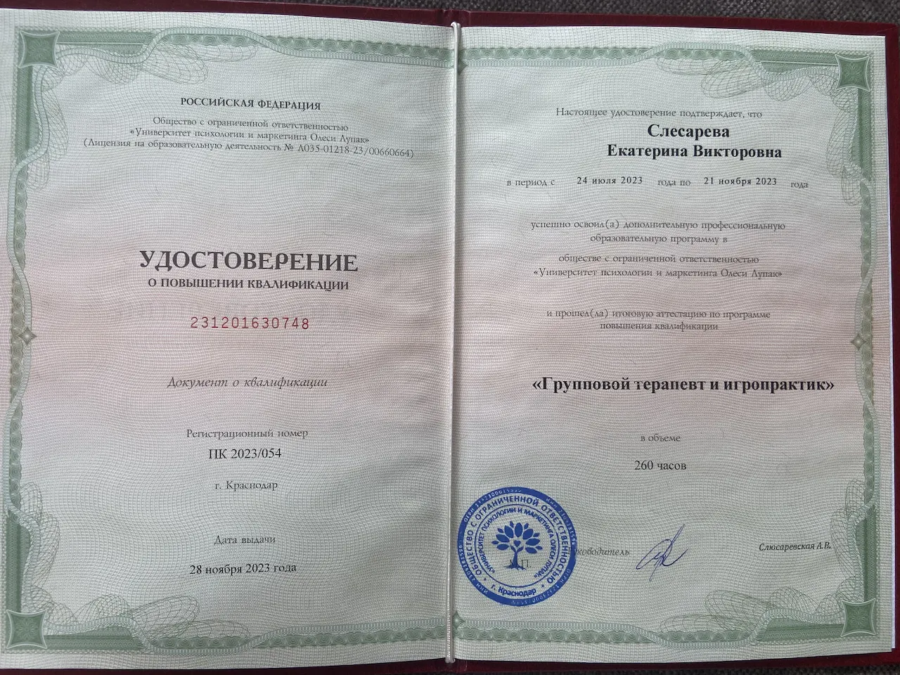 Екатерина Слесарева — Portfolio 4