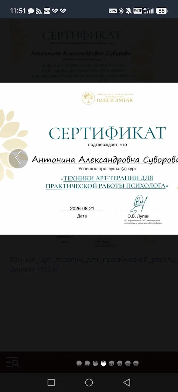 Антонина Суворова — Portfolio 6